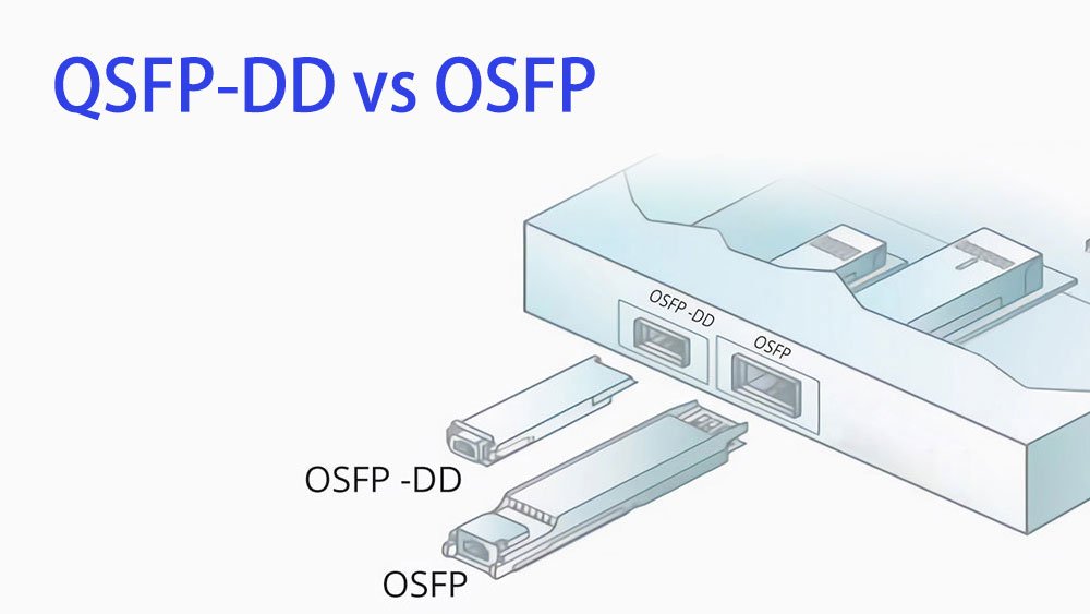 800G QSFP-DD vs OSFP