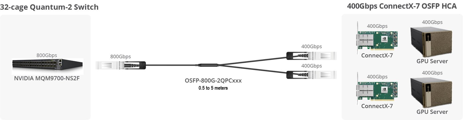 OSFP-800G-2OFLPCxxx