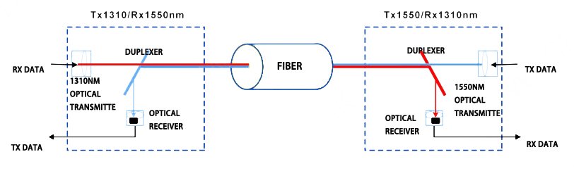 BIDI optical module