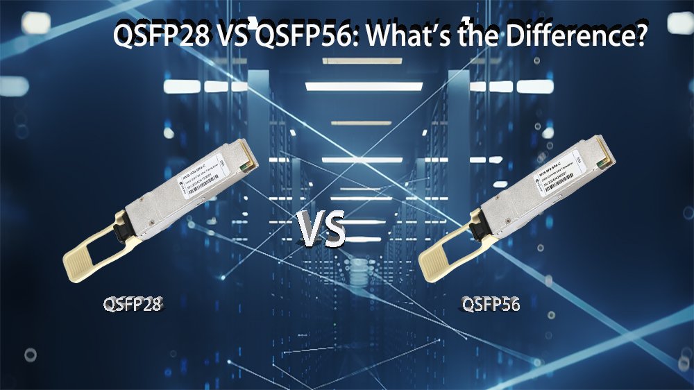 </noscript>QSFP28 VS QSFP56 : What’s the Difference?