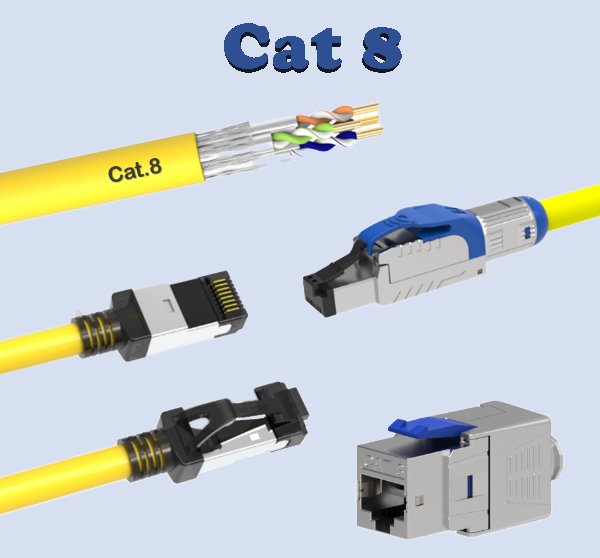 Cat 8